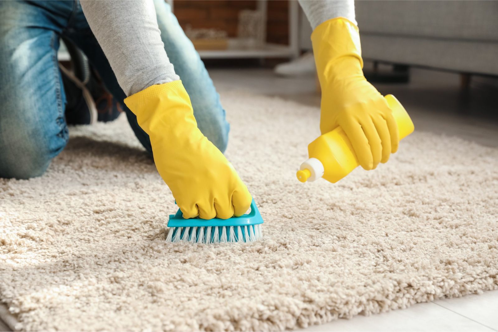  CLEANOVATION Rug Renovator/Carpet Cleaning Brush : Patio, Lawn  & Garden