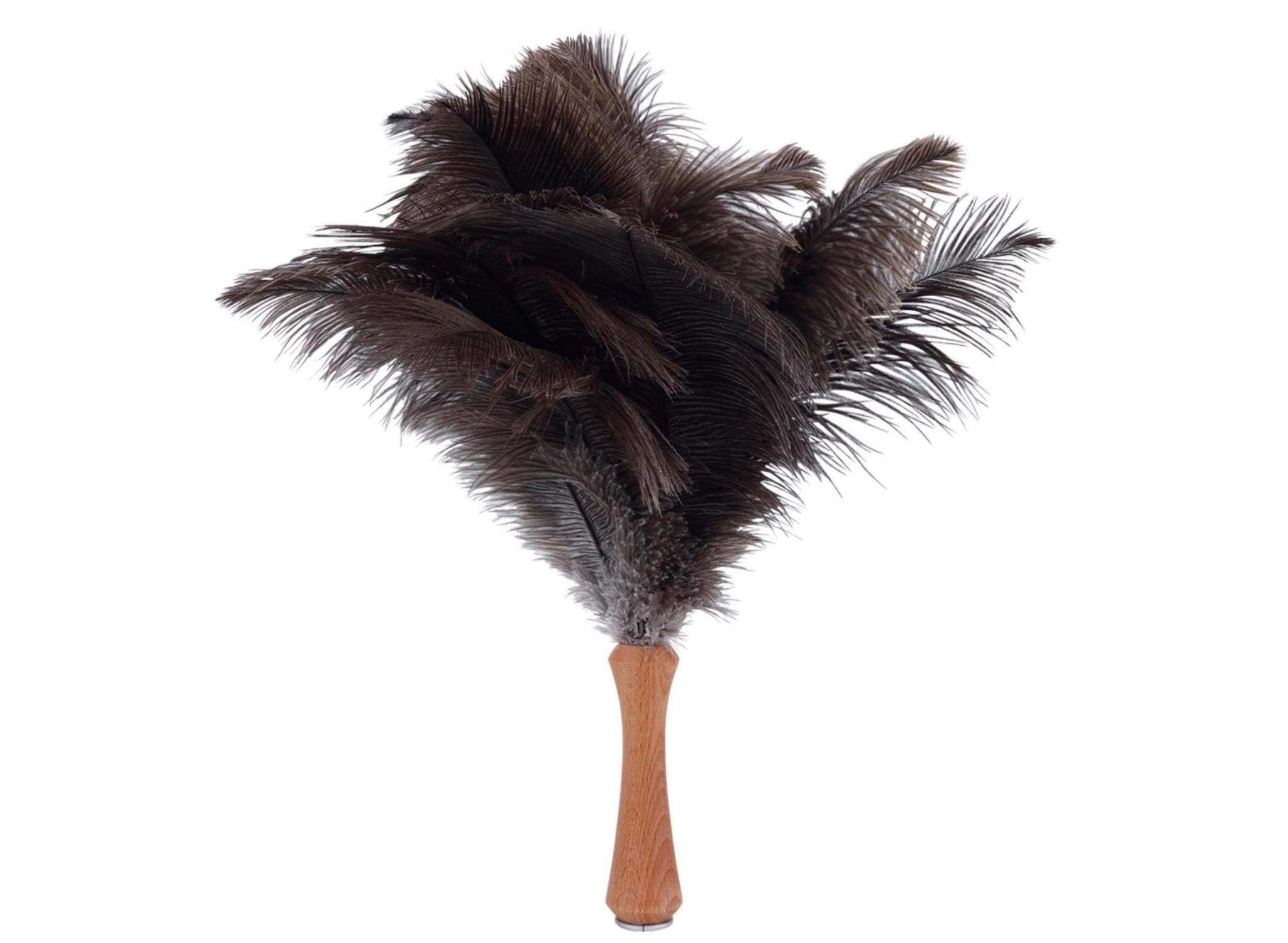 15 Amazing Ostrich Feather Duster for 2024