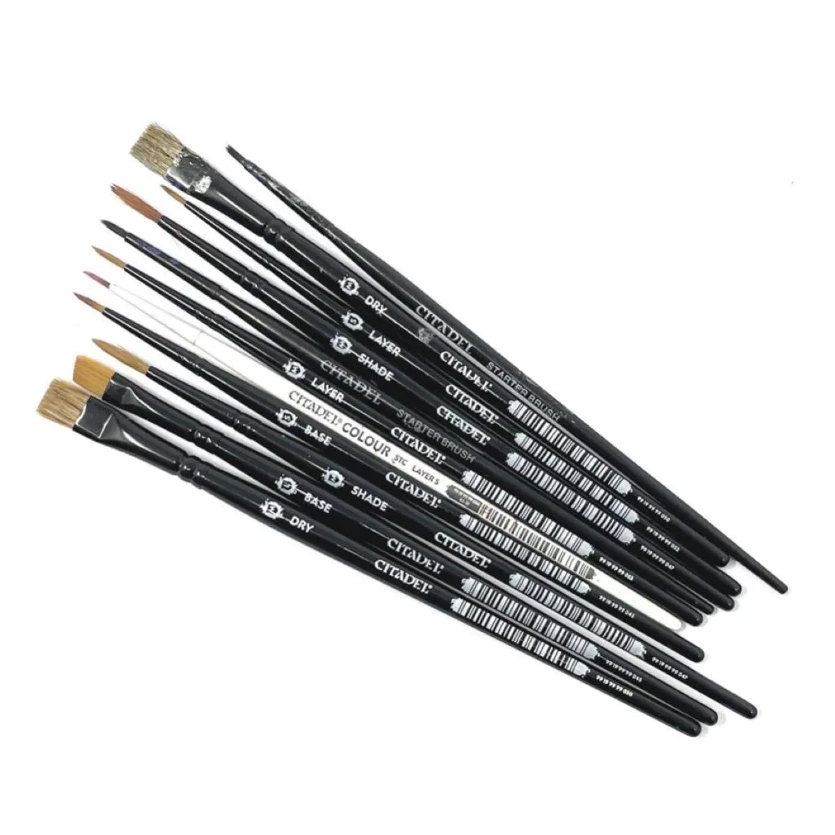 15 Best Citadel Paint Brushes For 2024