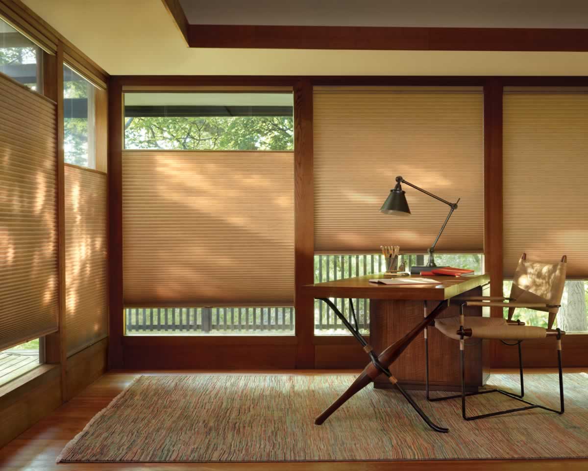 15 Best Top Down Bottom Up Blinds for 2024