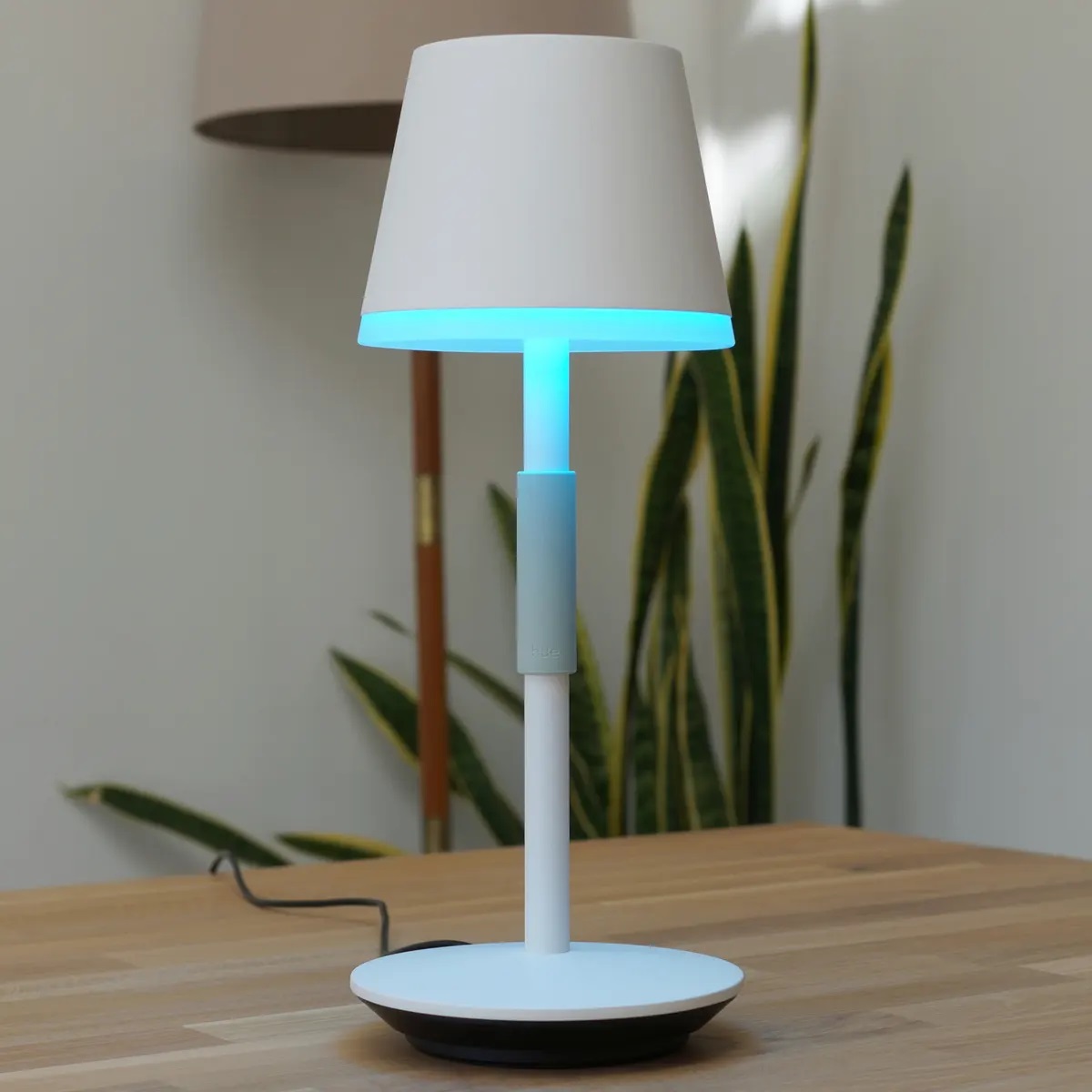 LUSHARBOR Battery Operated Table Lamp with Timer, Cordless Table Lamps with  Led Bulb, Battery Powere…See more LUSHARBOR Battery Operated Table Lamp
