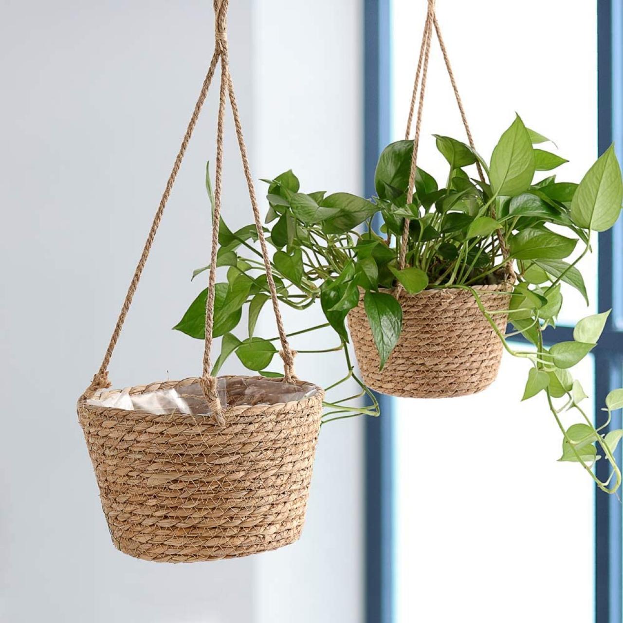 15 Superior Hanging Baskets For Plants for 2023