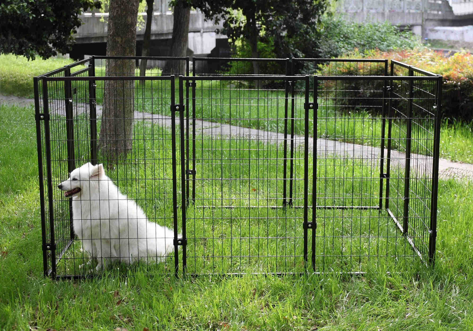 15 Unbelievable Dog Fence For 2023