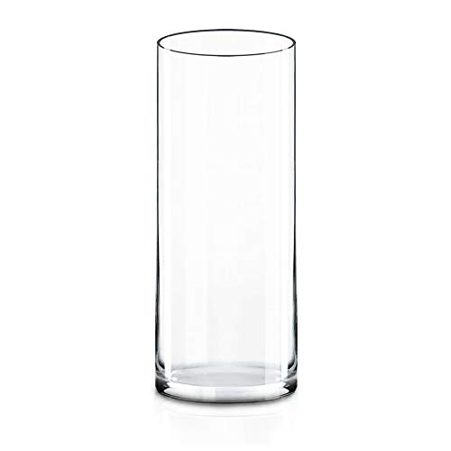 CYS EXCEL Cylinder Clear Glass Vase