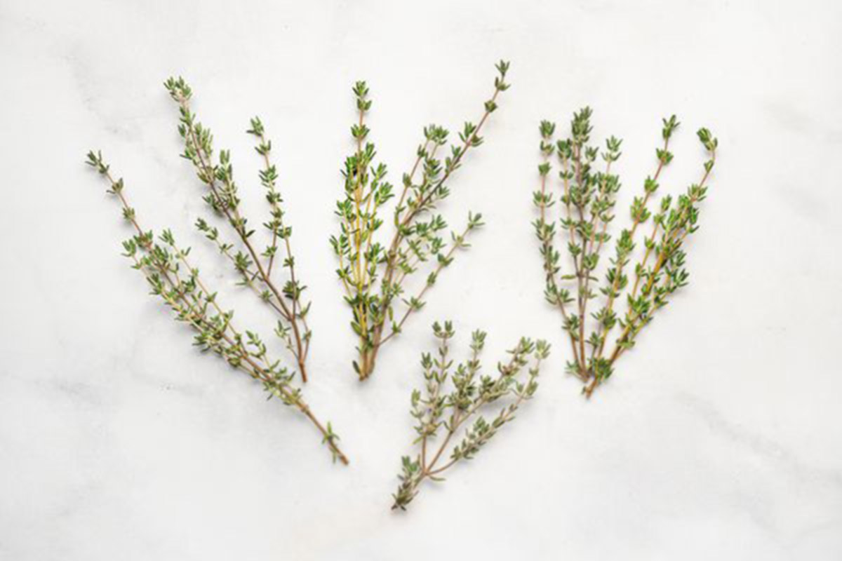 4 Sprigs Of Thyme Equals How Much Dried Thyme