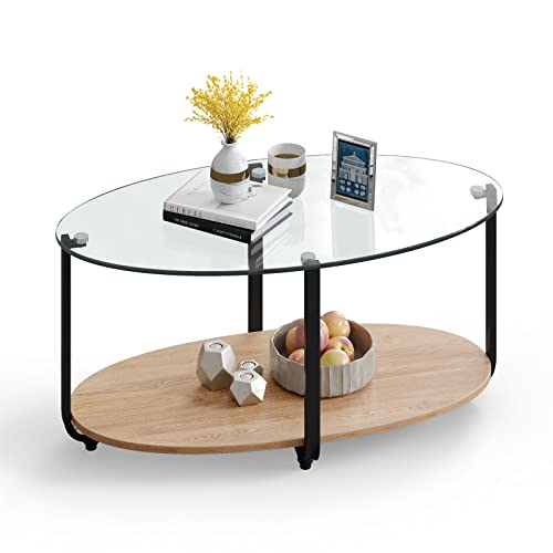 Tangkula 2 Tier Glass Coffee Table with Wooden Shelf