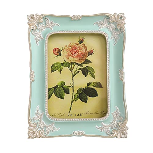  VINLIFE Vintage Picture Frames 2.5x3.5 Oval Frame Wallet Size Picture  Frames Small Picture Frame Antique Brass Mini Picture Frames Photo Gallery  with Embossed Floral,Bronze Gold