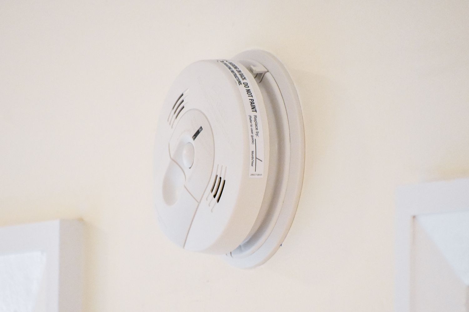 8 Amazing Carbon Monoxide Detector Battery Operated for 2024