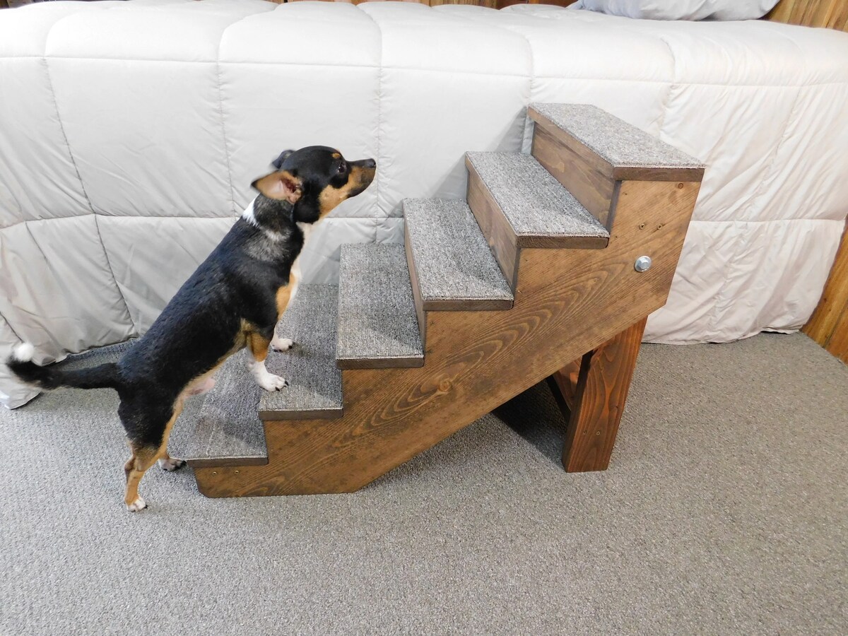 8 Amazing Dog Stairs For Small Dogs For 2023
