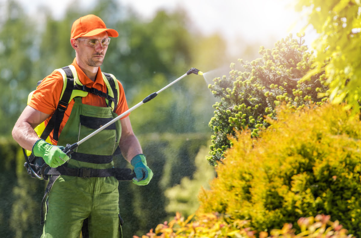 8 Amazing Garden Disease And Pest Control For 2024