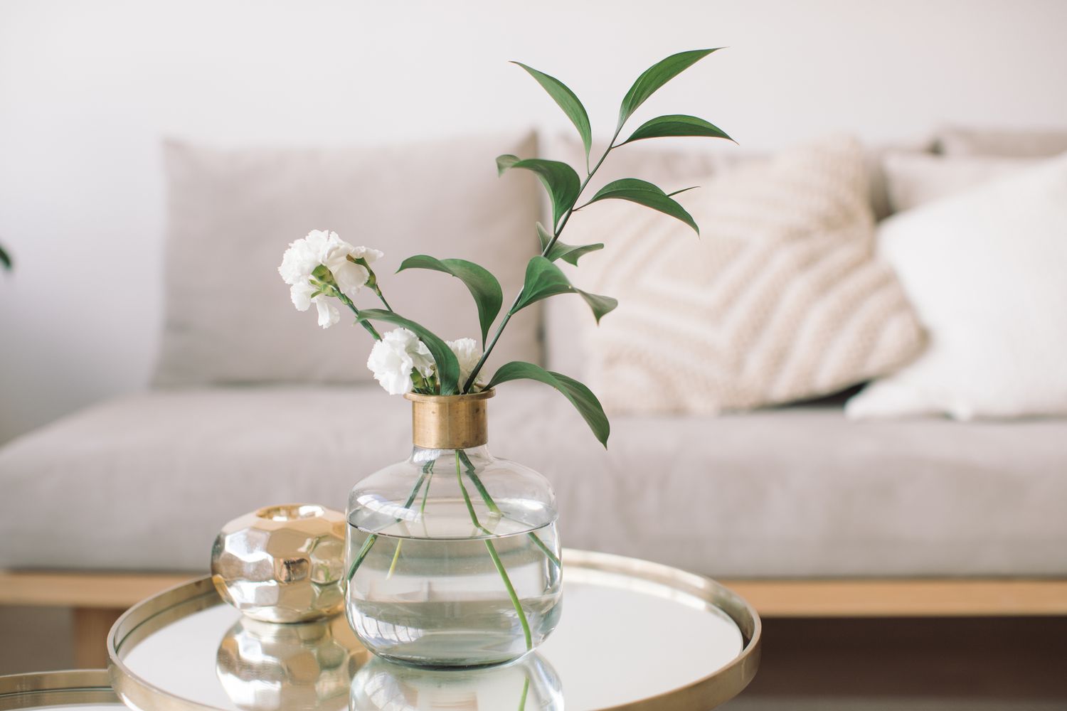 8 Amazing Plant Vase for 2023