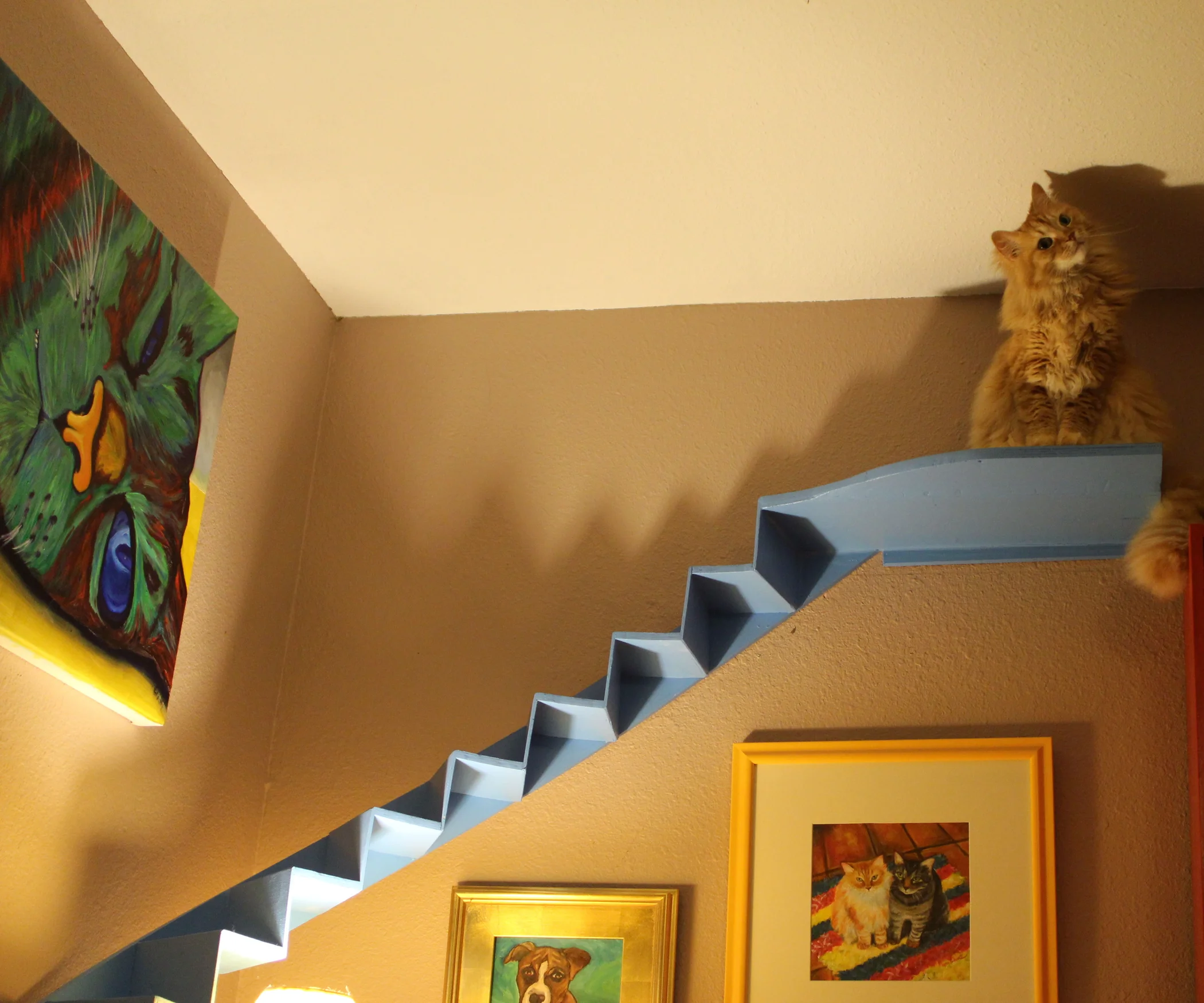 8 Best Cat Stairs For 2023