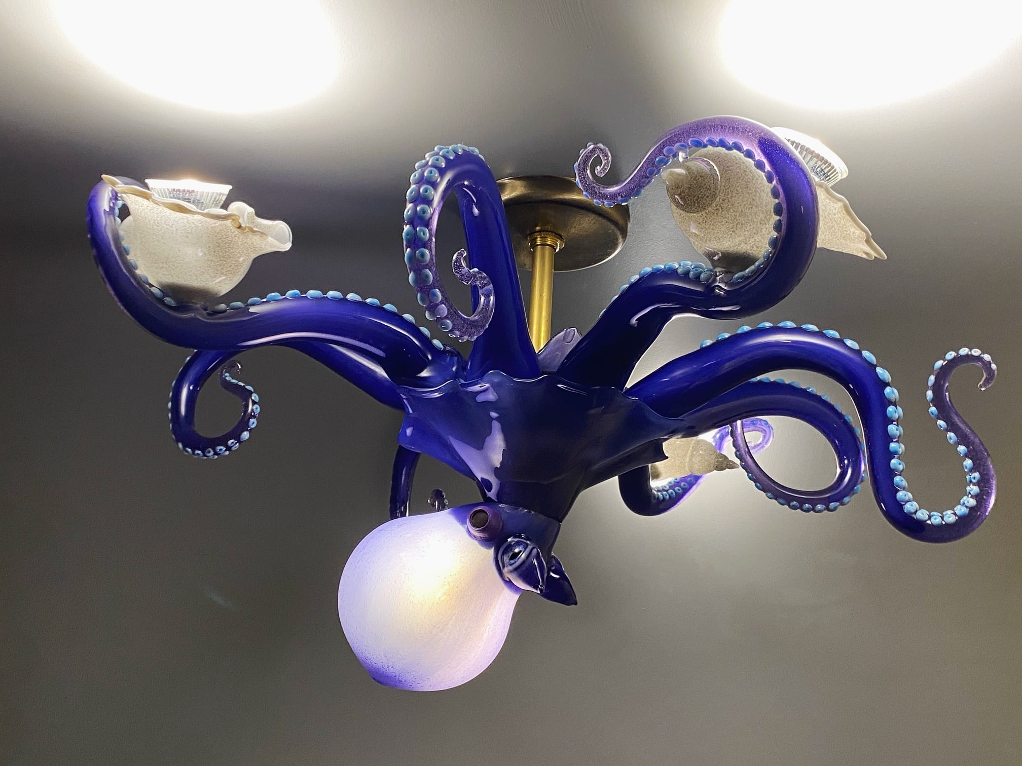 8 Incredible Octopus Chandelier for 2024