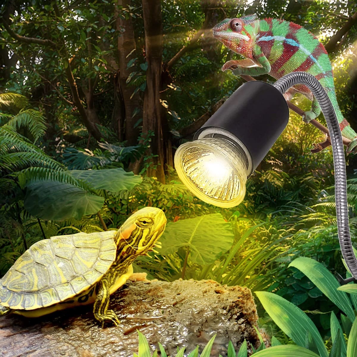 8 Incredible Reptile Heat Lamp for 2024