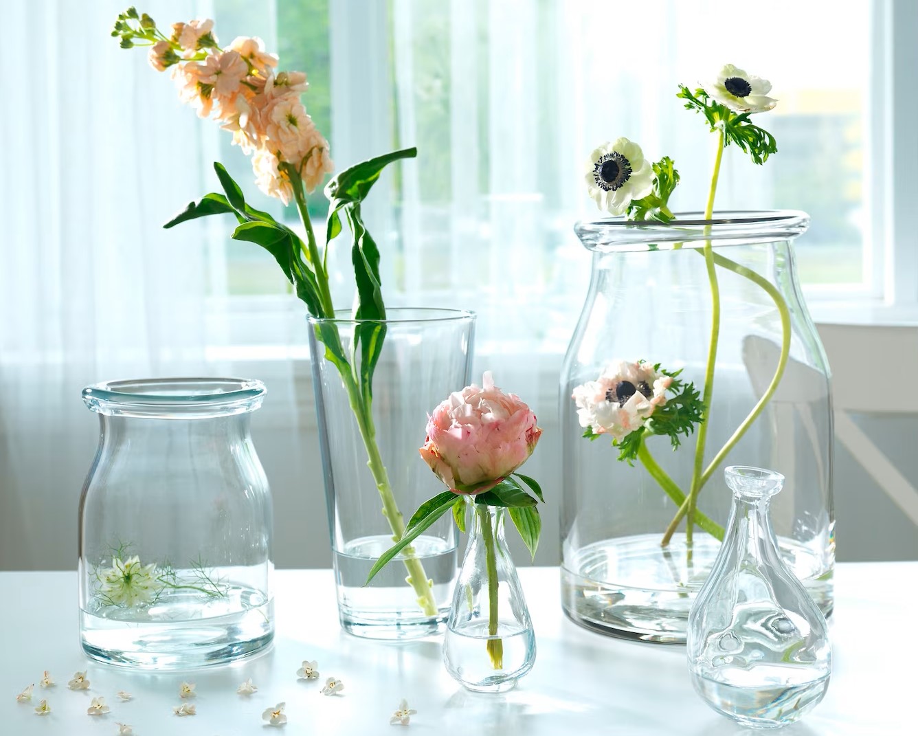 9 Amazing Clear Vase for 2023