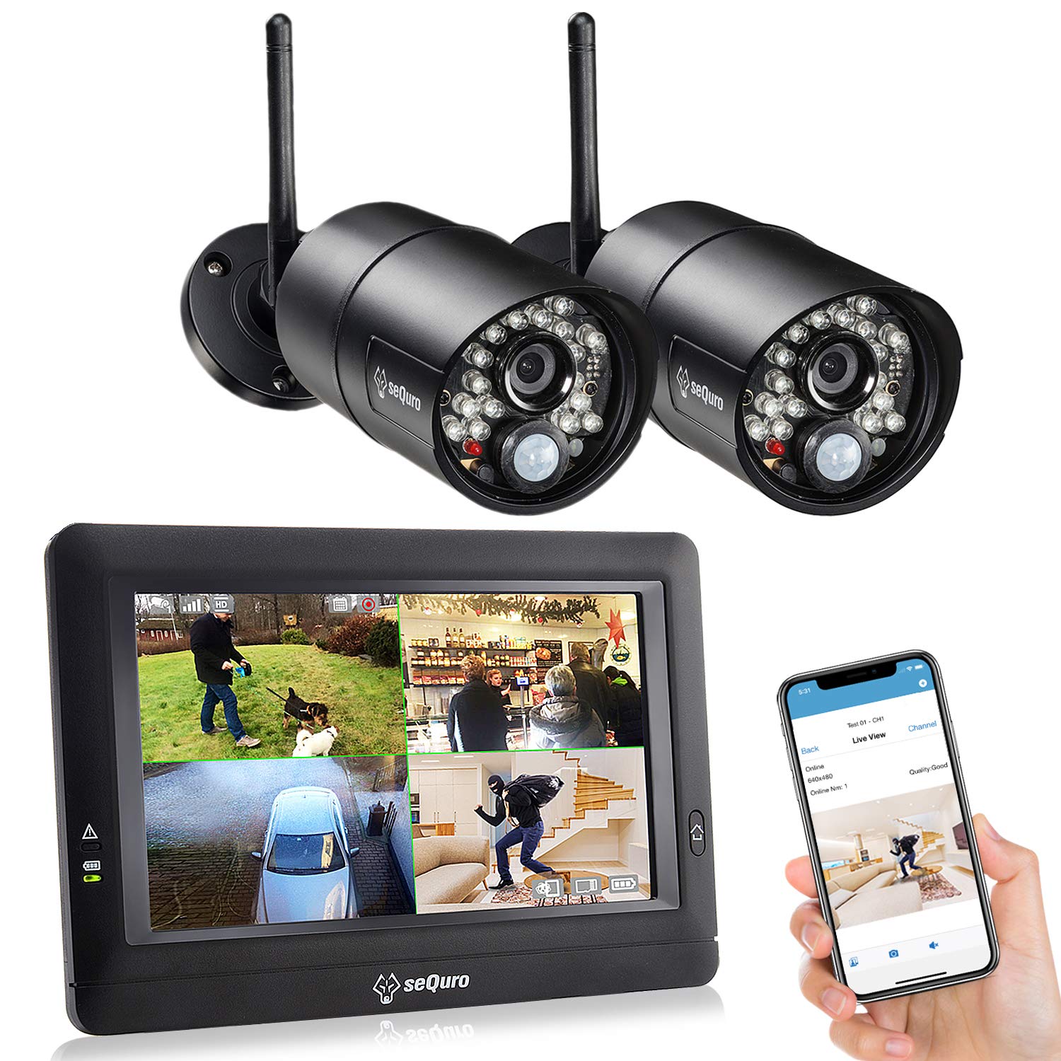 Remote Video Surveillance, Live Camera Monitoring