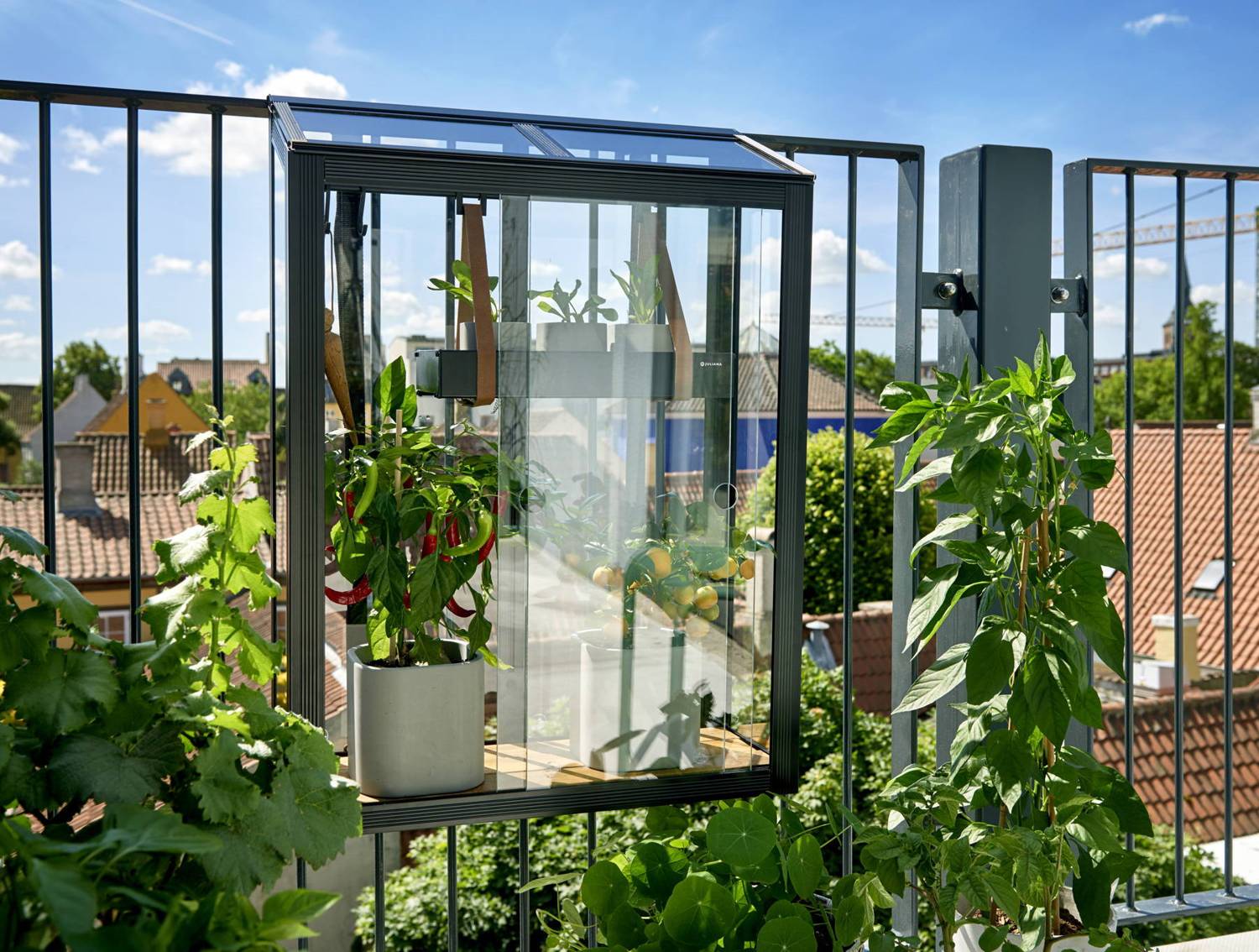 9 Superior Balcony Greenhouse For 2023