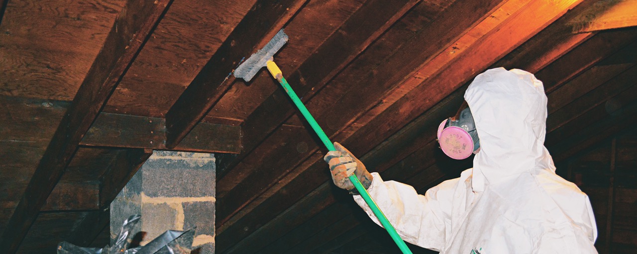 How Much Does Mold Removal Cost In Attic
