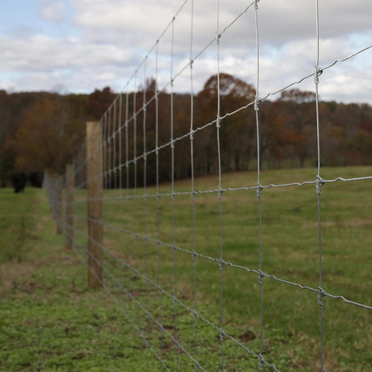 How To Build Cattle Fence
