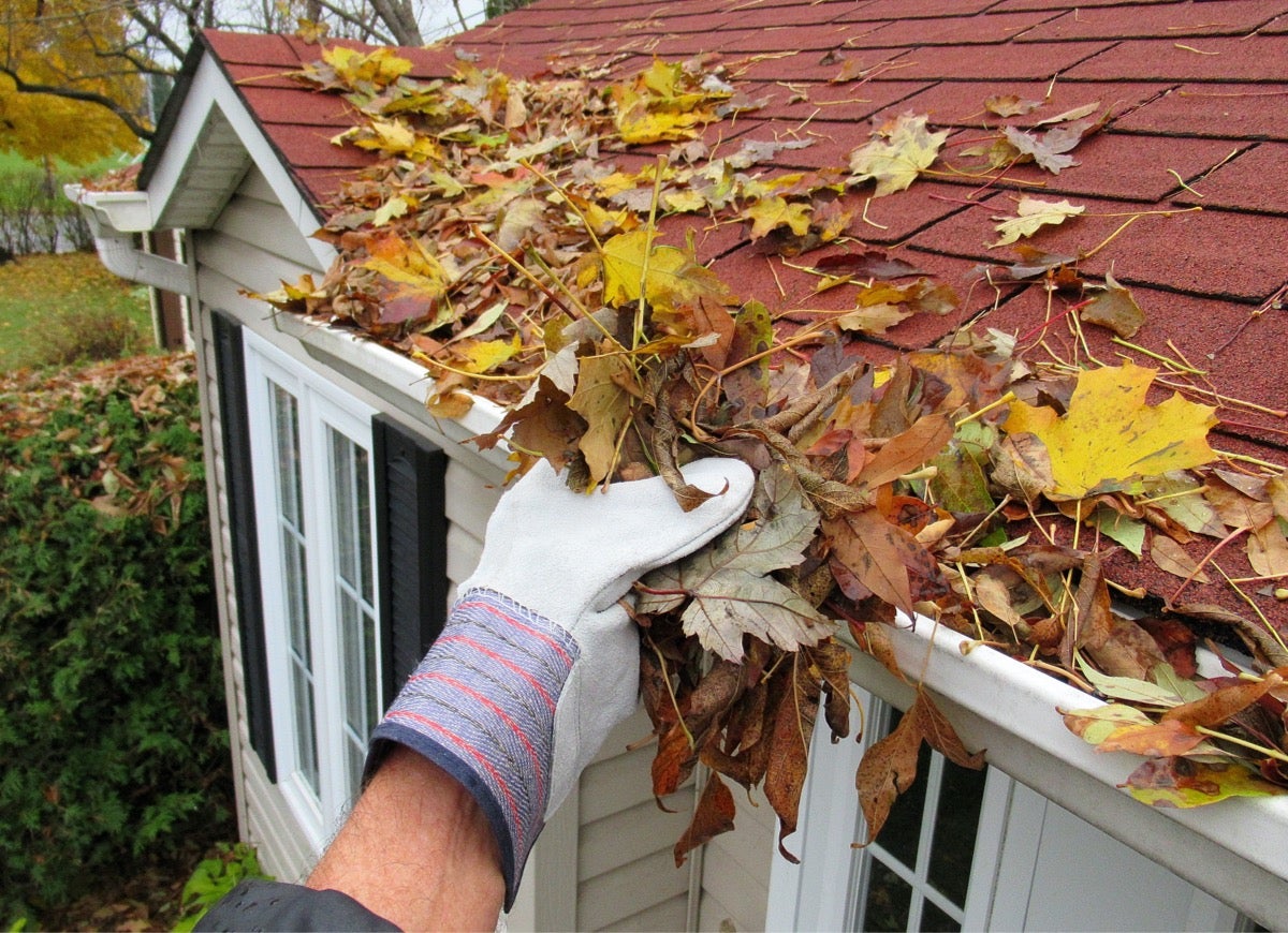 How To Clean Gutters From The Roof