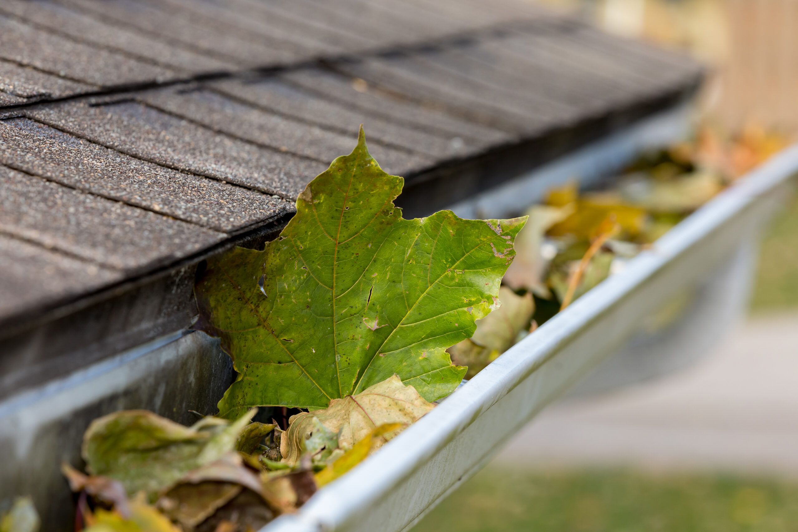 How To Clear Clogged Gutters