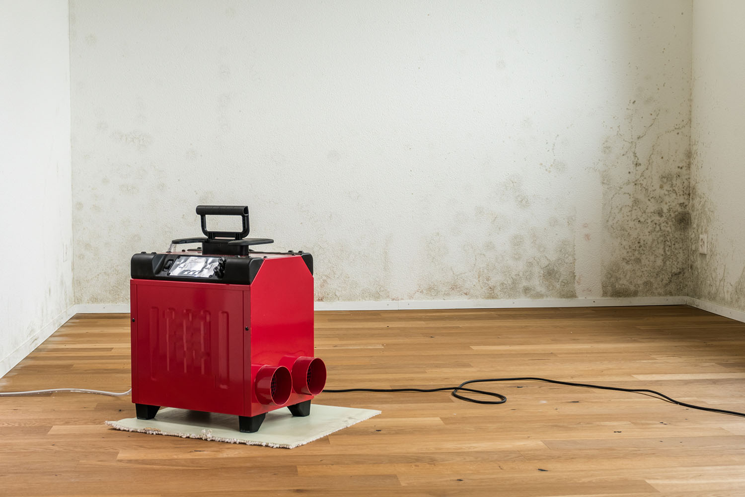 How To Drain Dehumidifier In Basement Without Drain