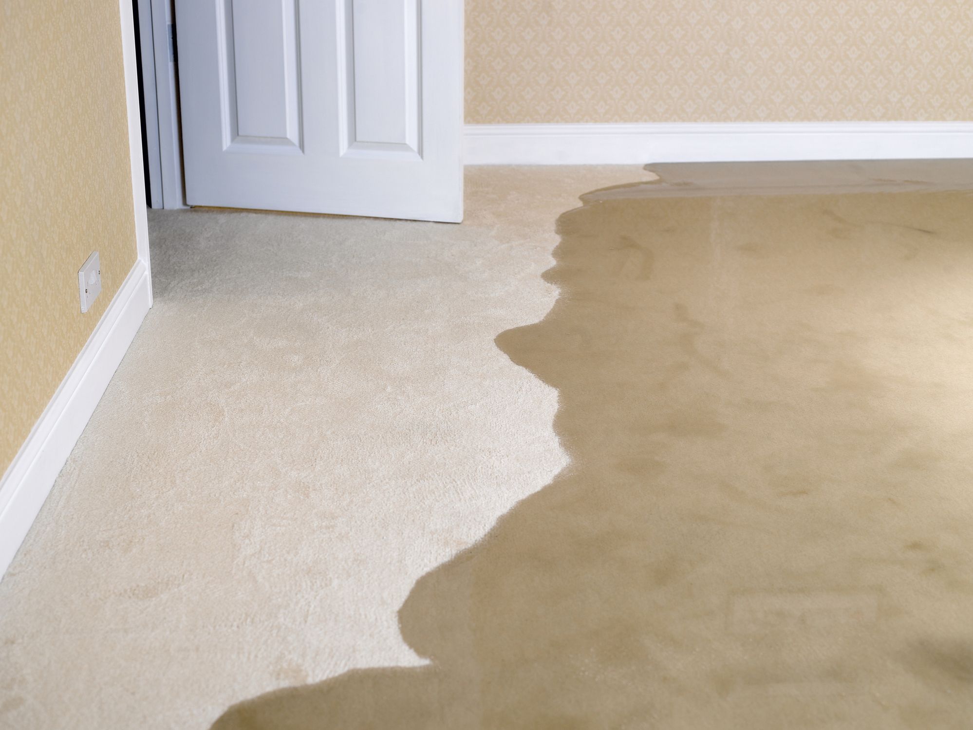 How To Dry Out Basement Carpet