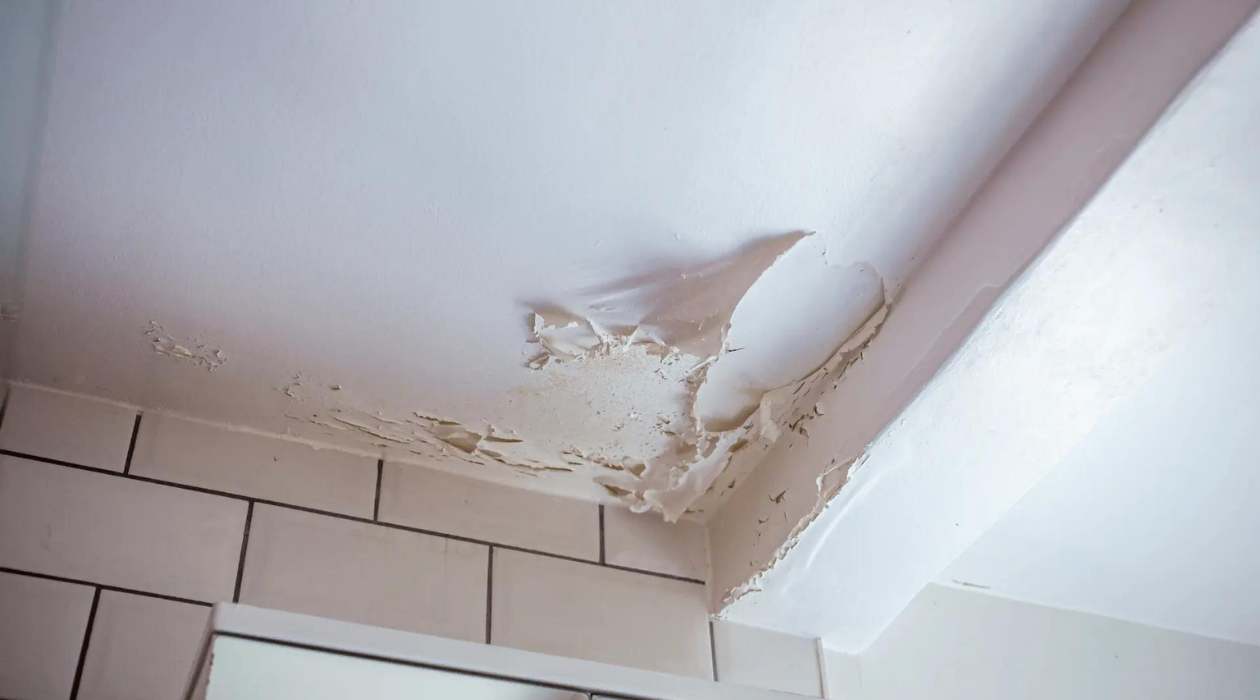 How To Fix Peeling Ceiling Paint In The Bathroom