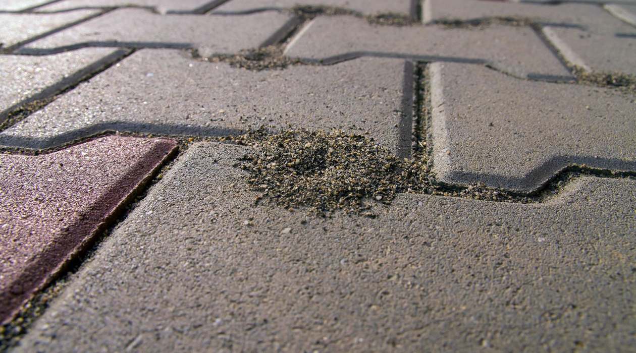 How To Get Rid Of Ant Hills In Driveway