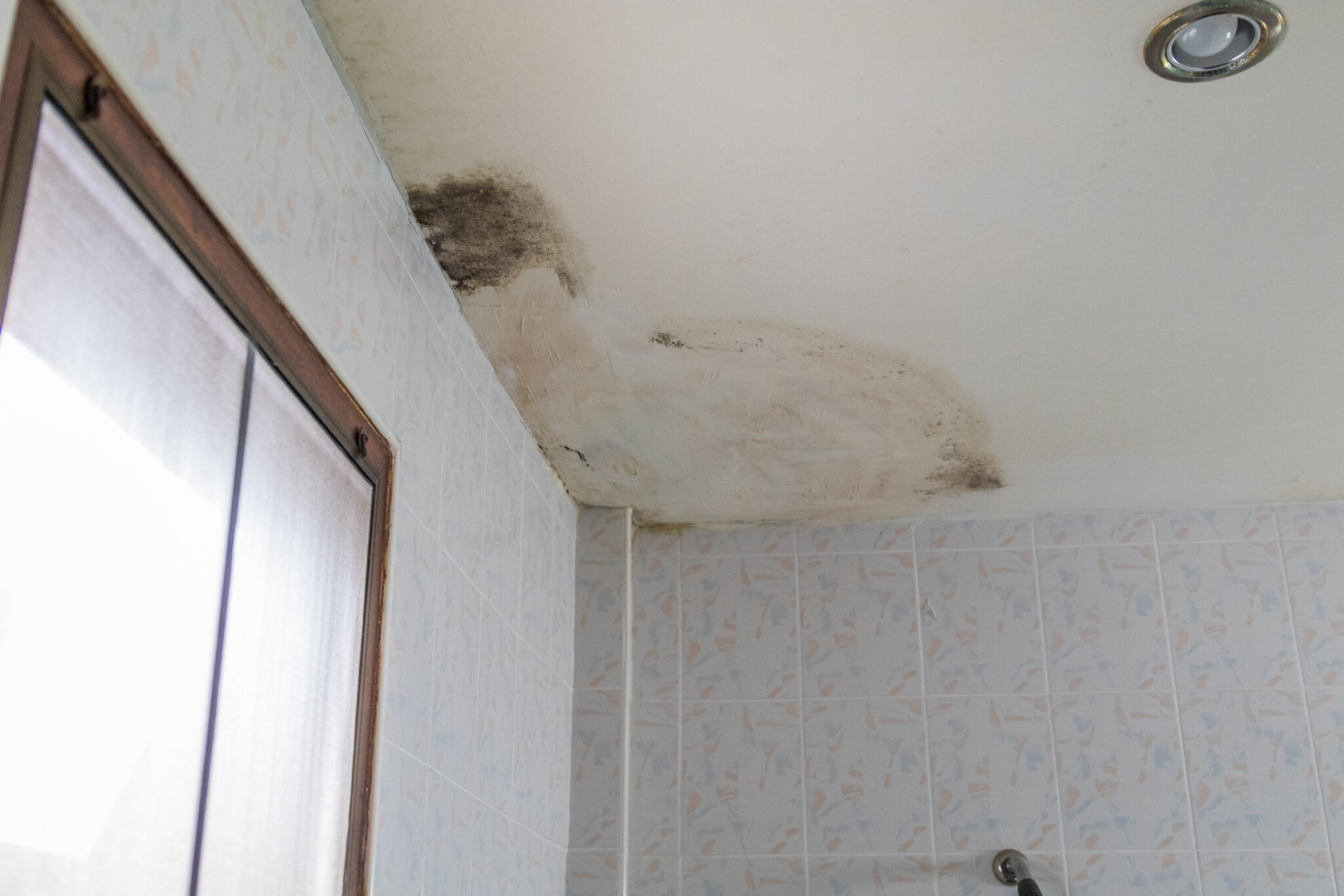 How To Get Rid Of Mold From The Bathroom Ceiling