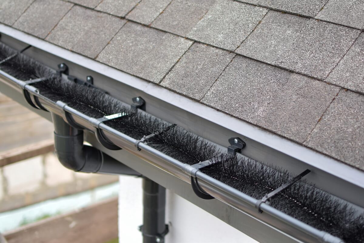 How To Keep Birds From Nesting In Gutters