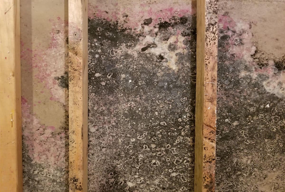 How To Keep Mold Out Of Basement