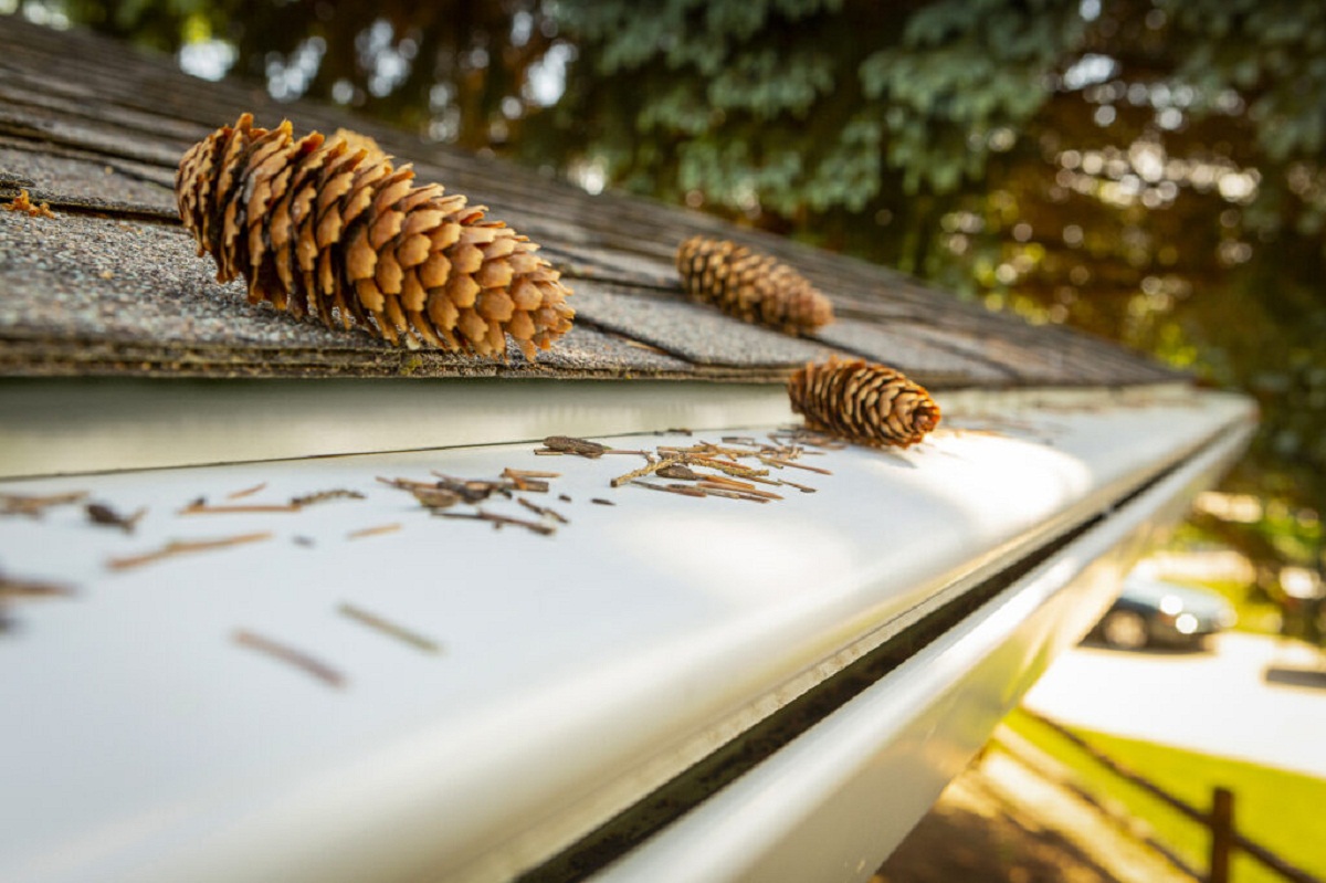 How To Keep Pine Needles Out Of Gutters