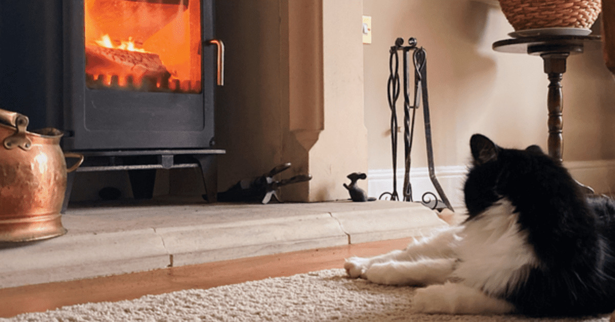 How To Keep Your Cat Out Of The Fireplace