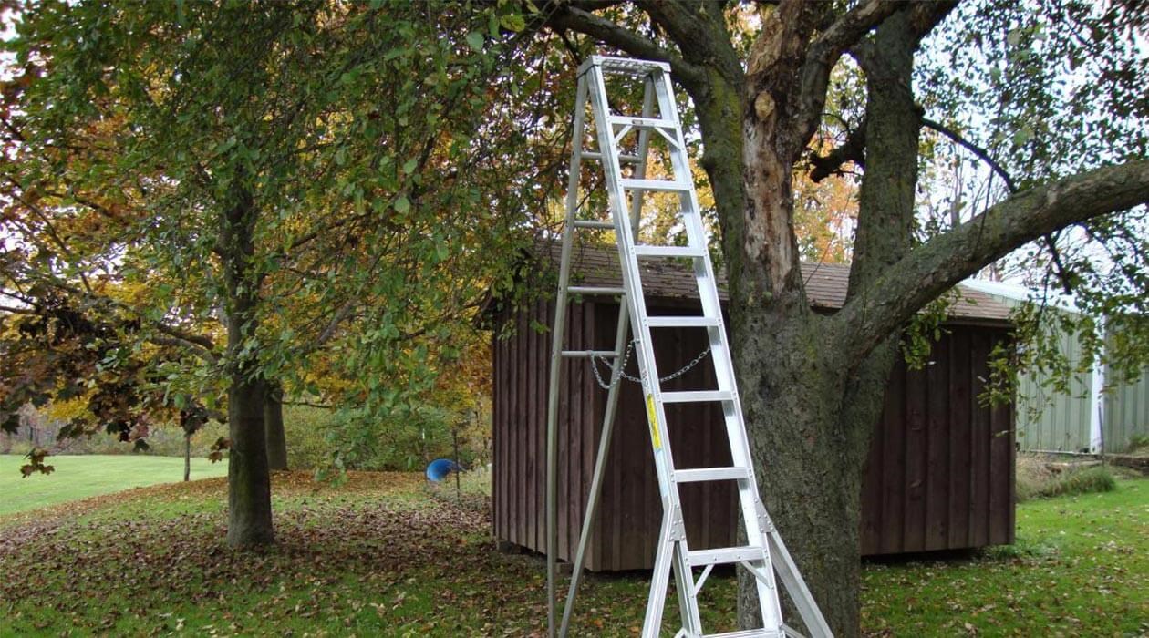 How To Maintain Safety When Using Two Single Ladders