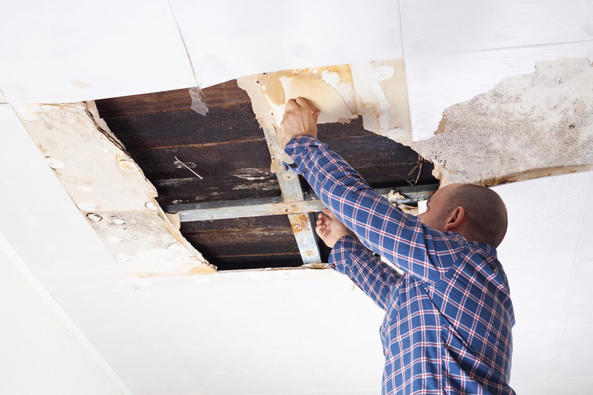 How To Remove Drywall Ceiling With Insulation