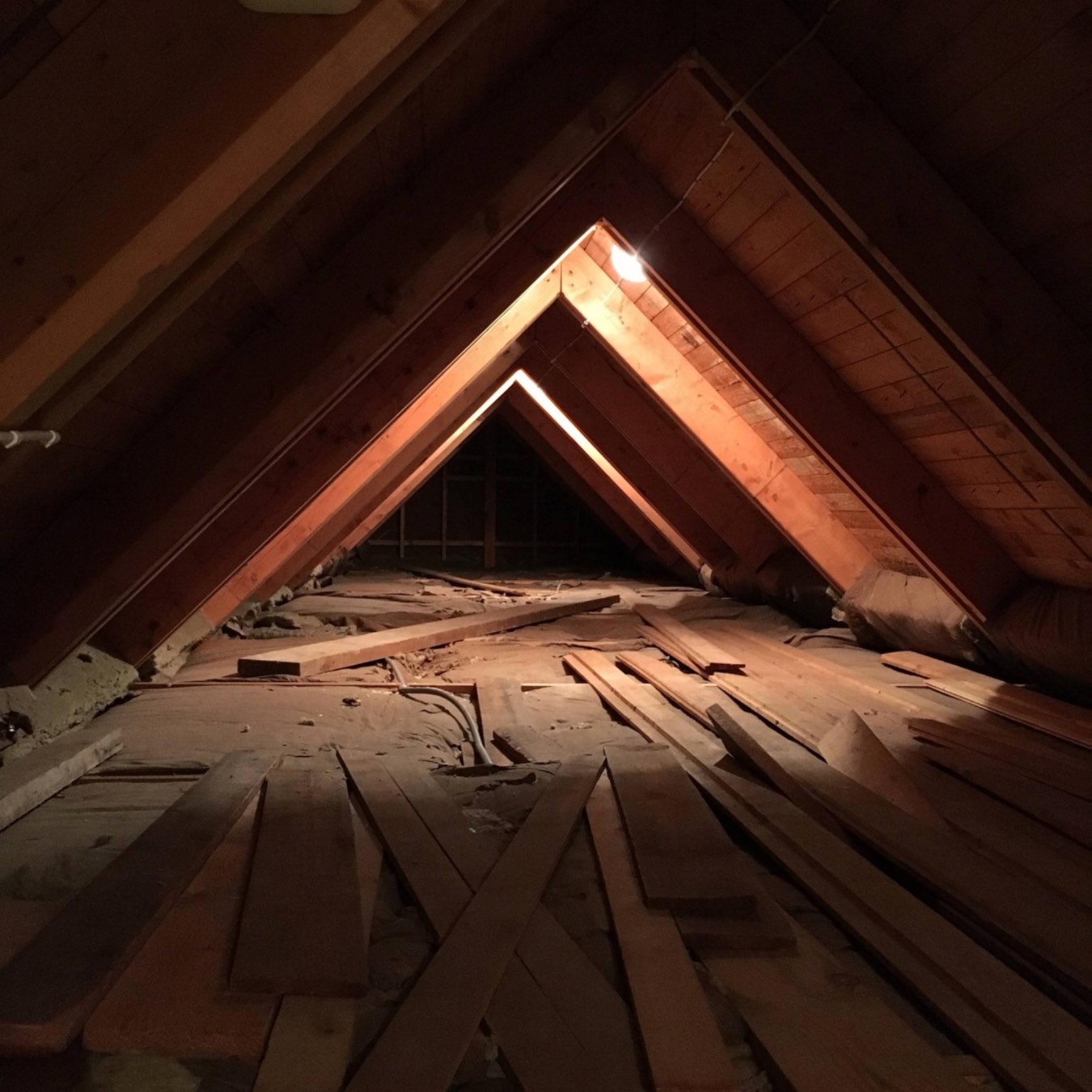 How To Remove Mold From Plywood In Attic