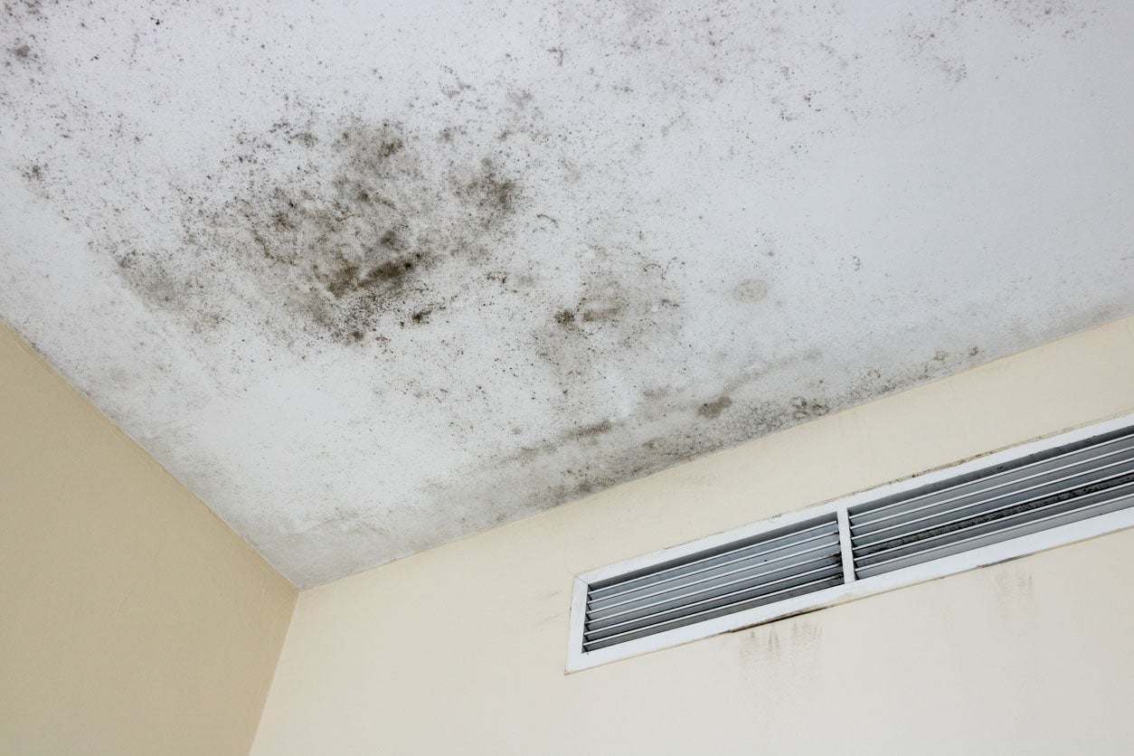 How To Remove Mold From Popcorn Ceiling