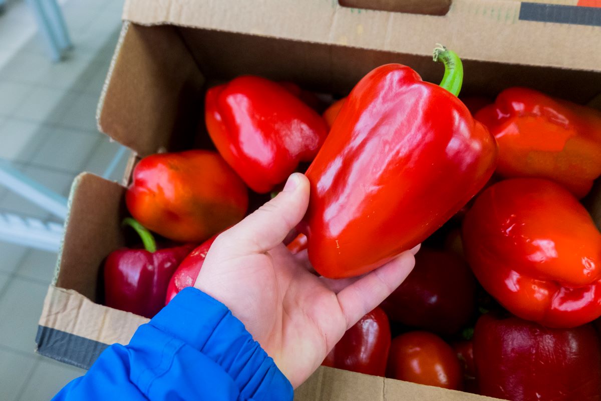 How To Store A Bell Pepper
