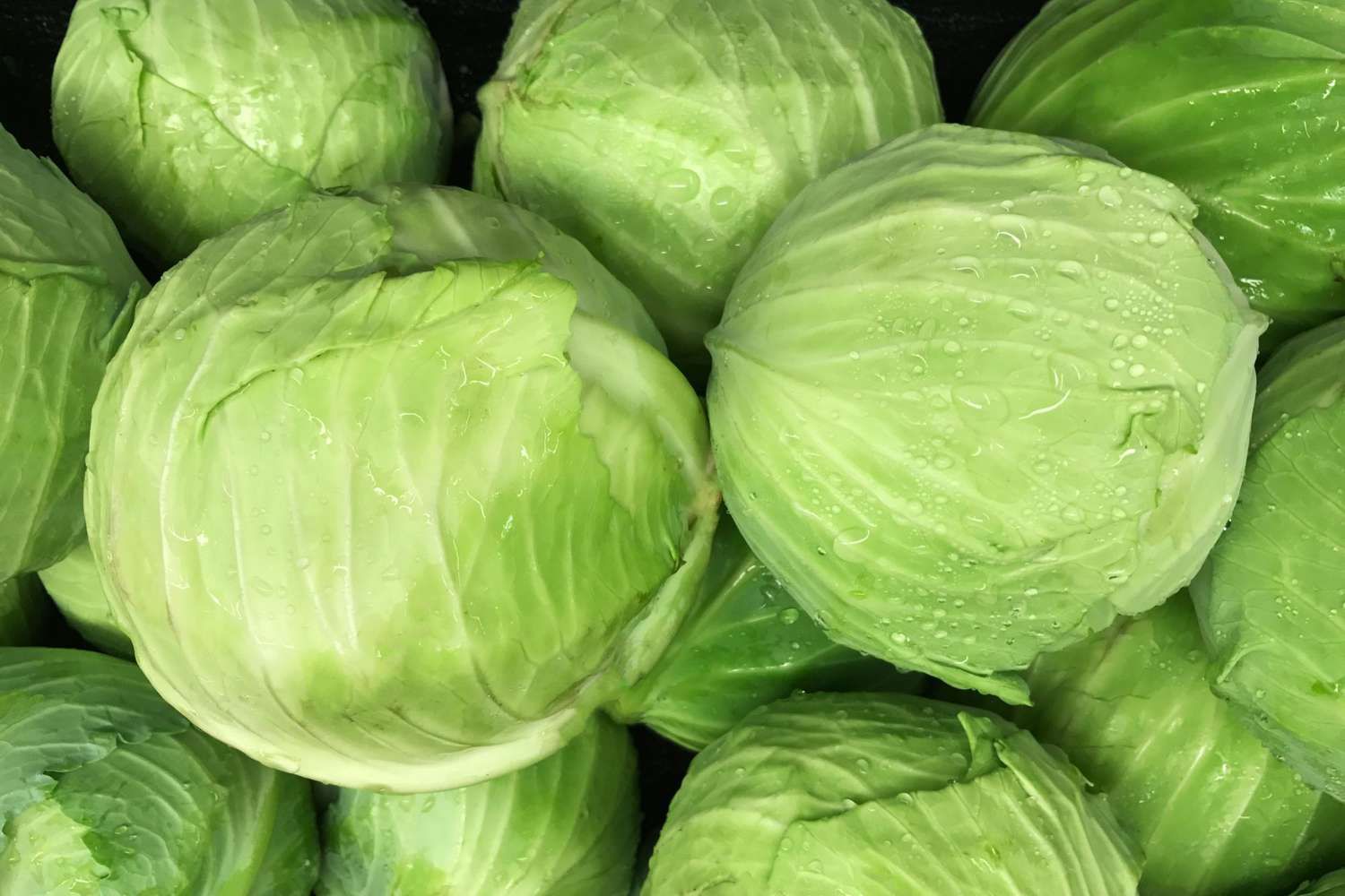 How To Store A Cabbage