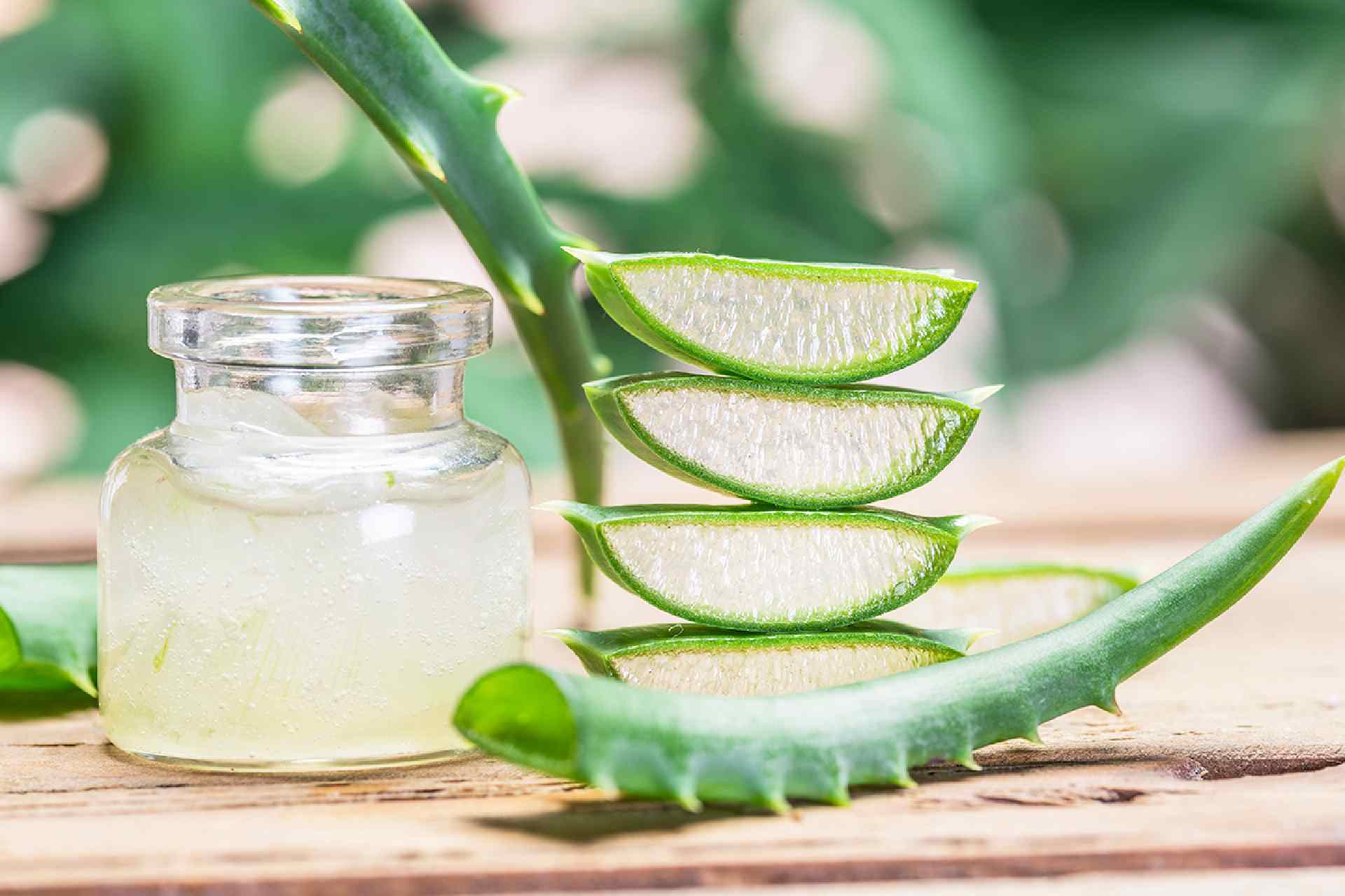 How To Store Aloe Gel