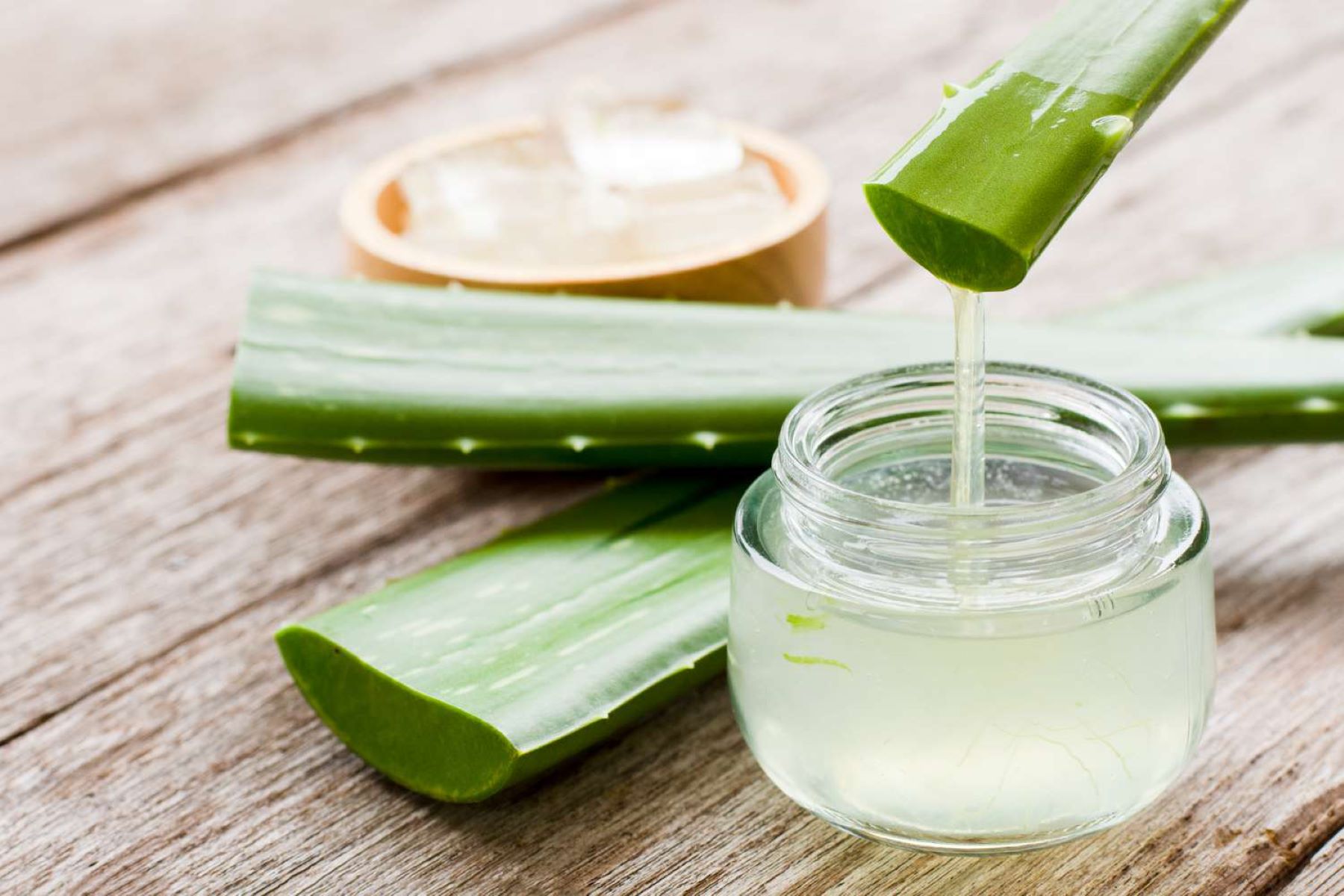 How To Store Aloe Vera Plant Gel