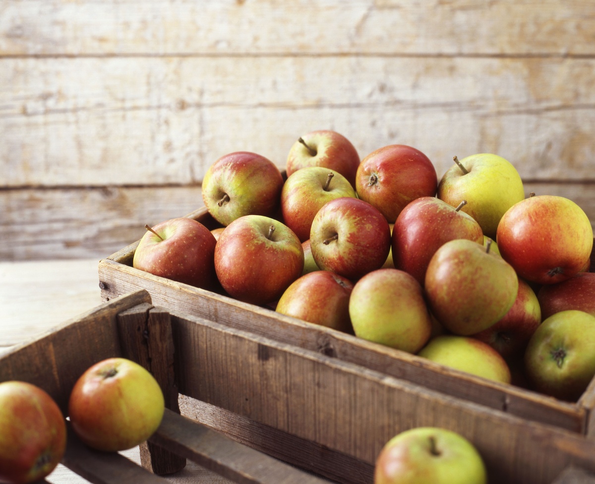 How To Store Apples At Home