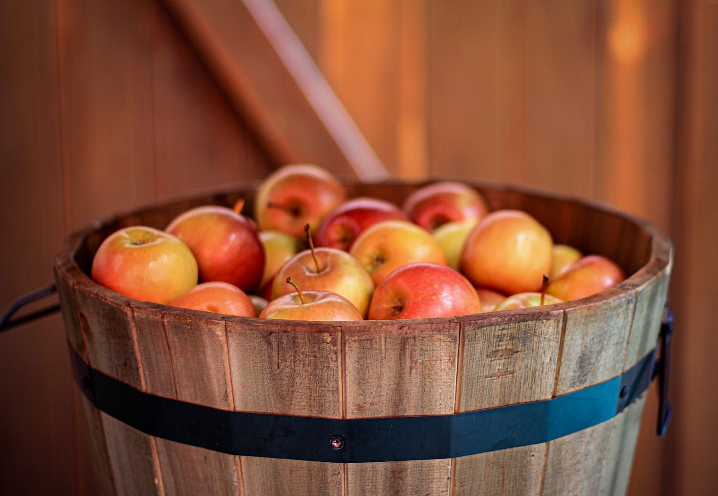 How To Store Apples In A Barrel