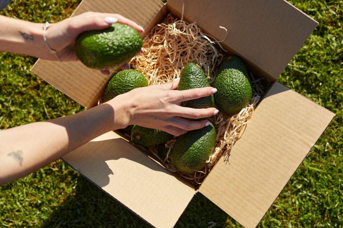 How To Store Avocados For A Long Time