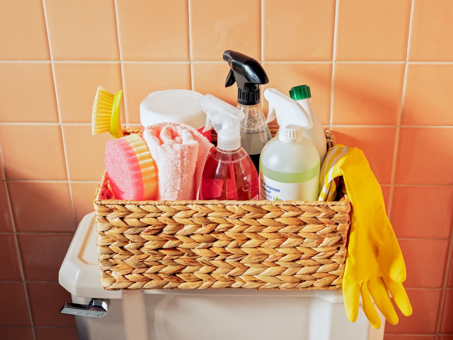 https://storables.com/wp-content/uploads/2023/10/how-to-store-bathroom-cleaning-supplies-1696603284.jpg