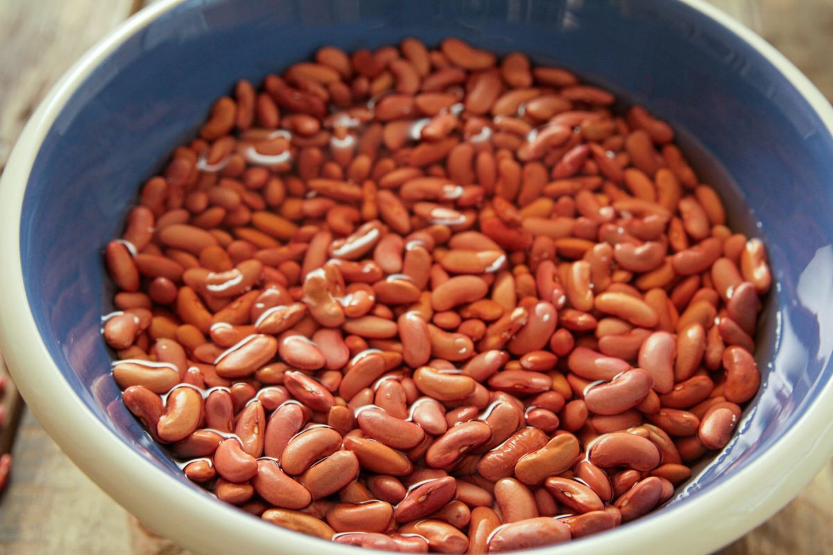 How To Store Beans In Fridge For Long Time