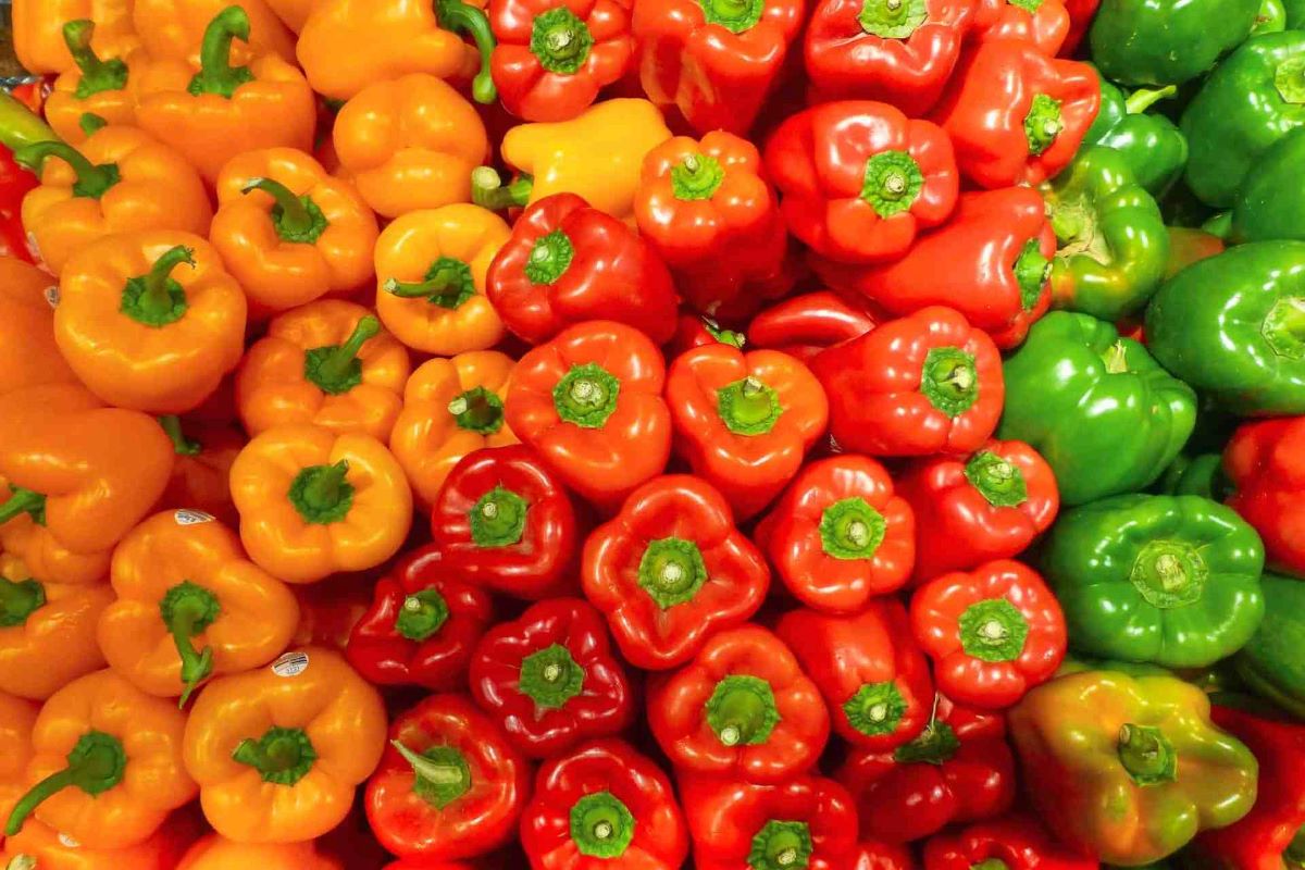 How To Store Bell Peppers