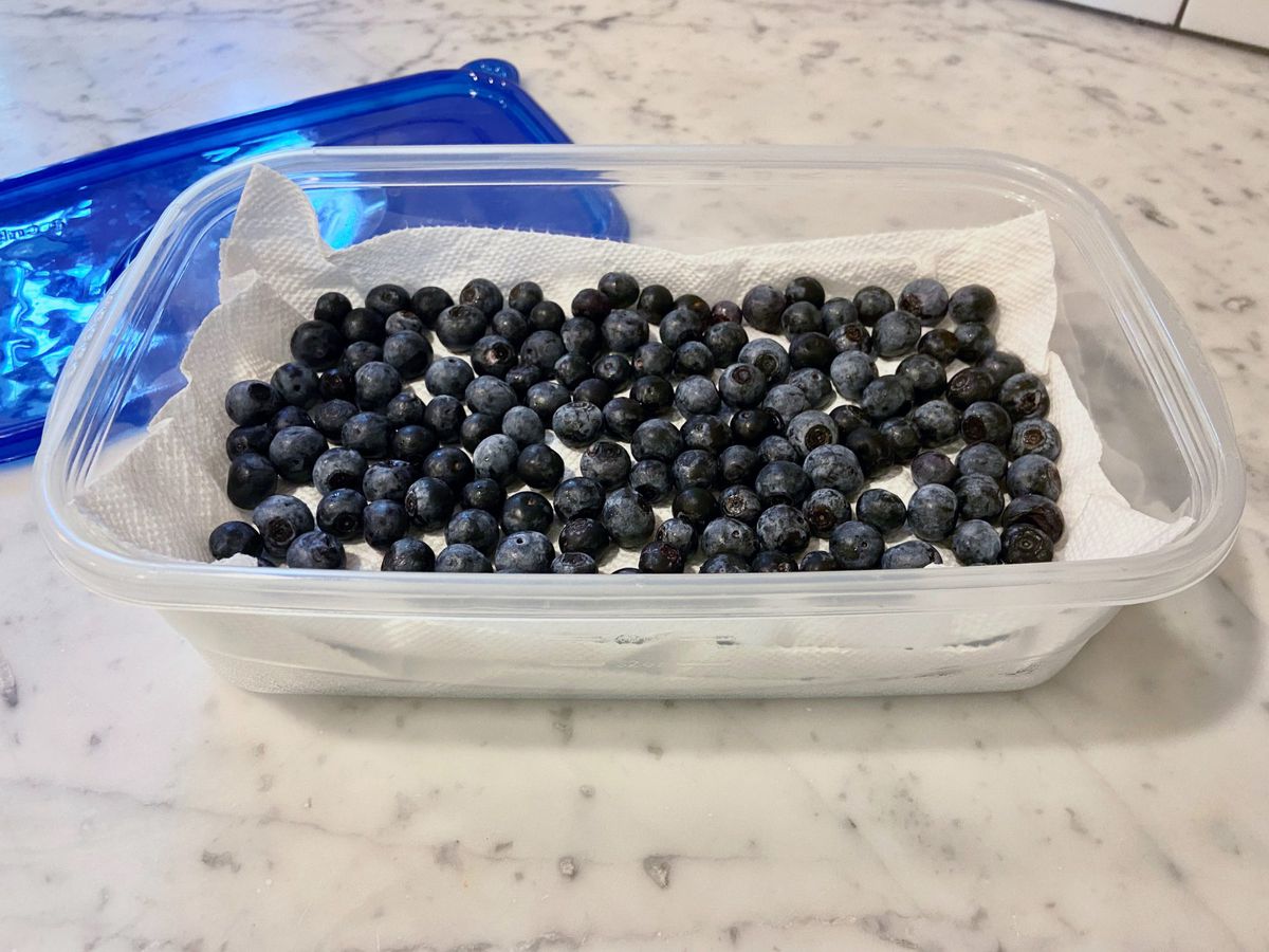 How To Store Blue Berries
