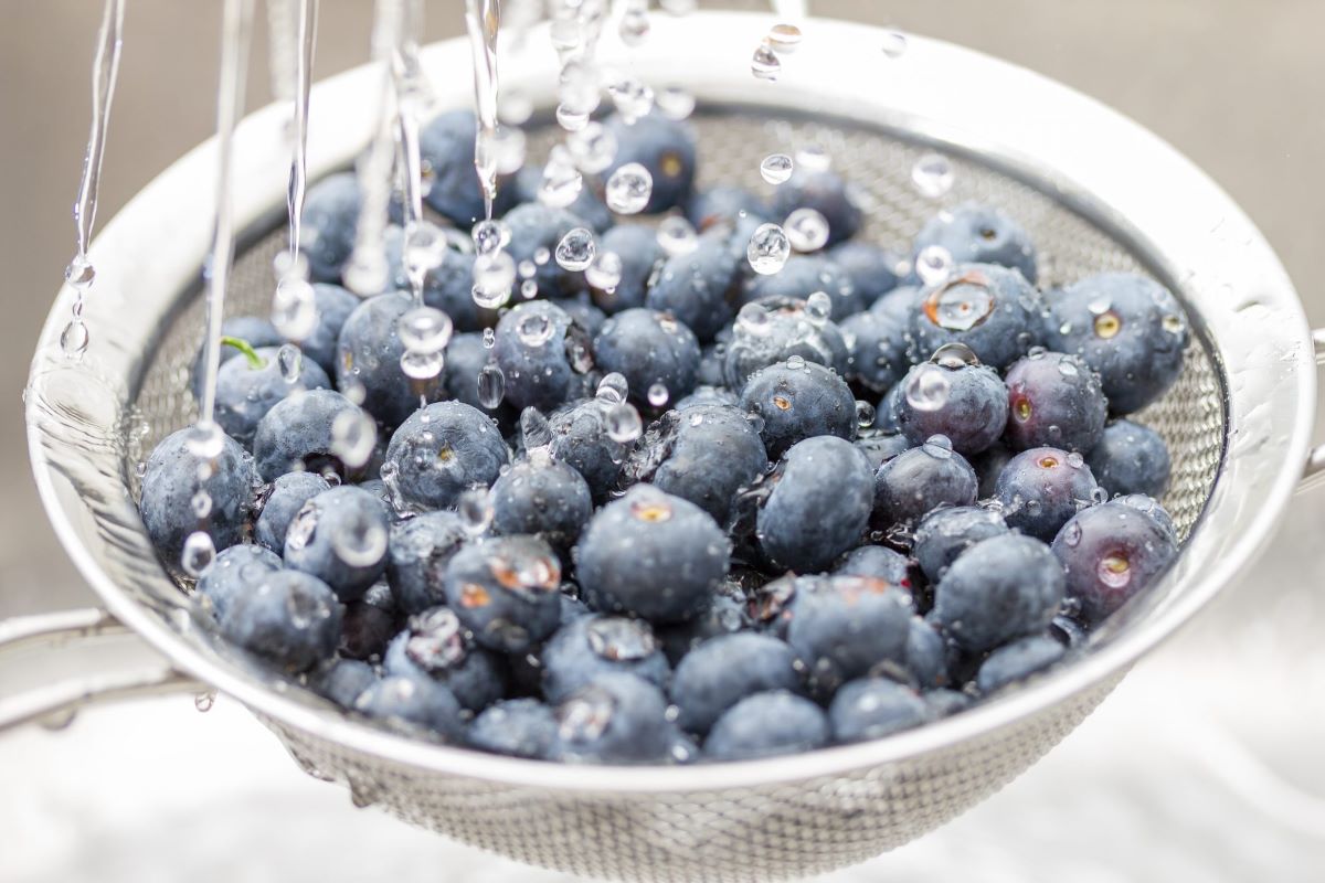 How To Store Blueberries After Washing